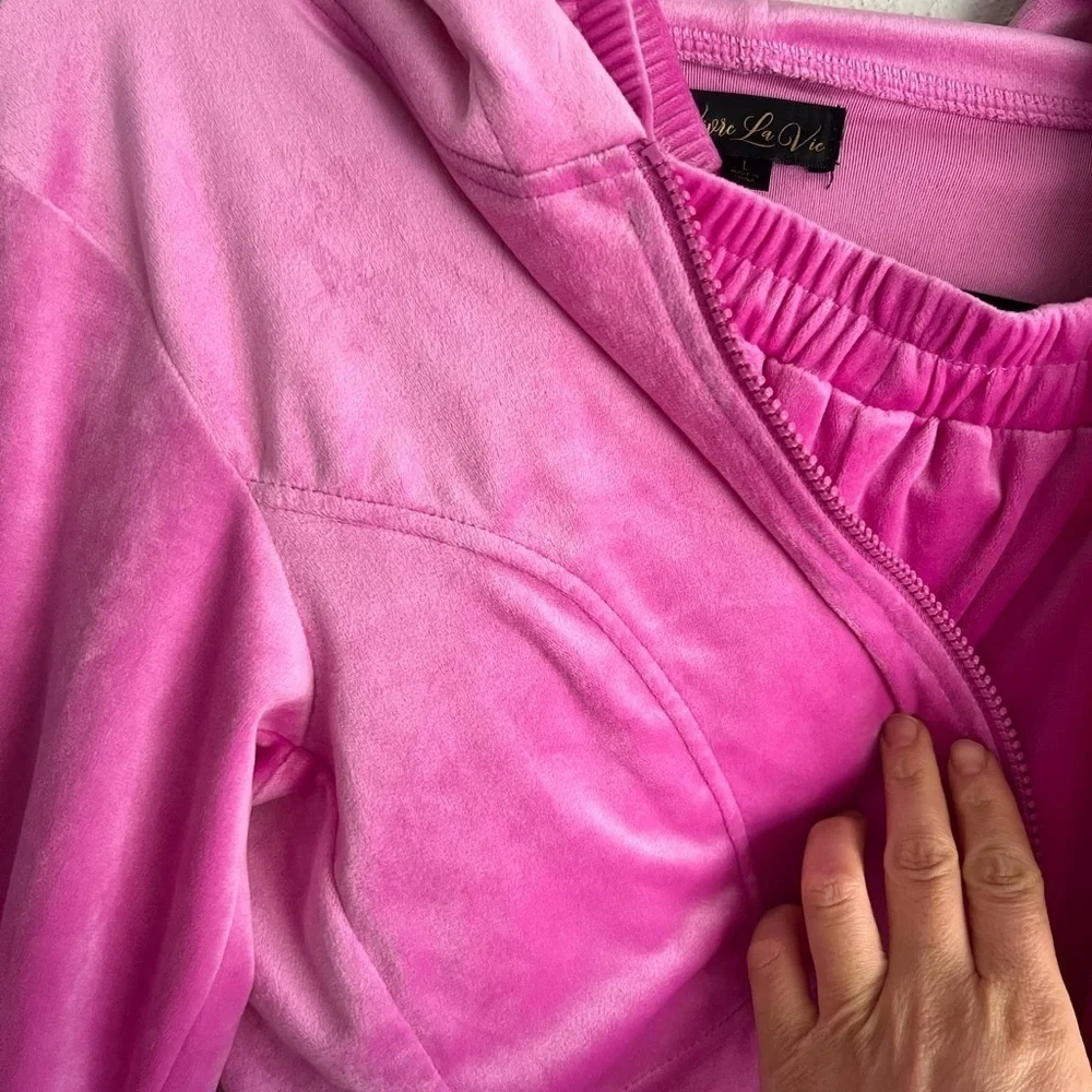 Vivre La Vie Velvet Pink Y2K Jogger and Crop Hooded Sweatshirt Set, Size L